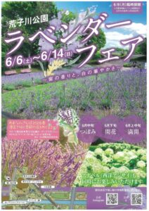 20260606荒子川　ラベンダーフェア表のサムネイル